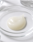 Ceramide & Hyaluronic Acid Serum